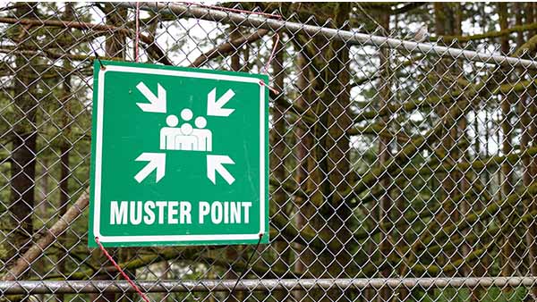 A green muster point safety sign displayed on a chain-link fence in a forested area, indicating an emergency assembly point for jobsite safety